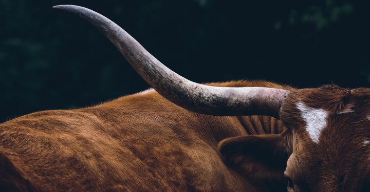 Longhorn Storage Observability for a k3s Homelab